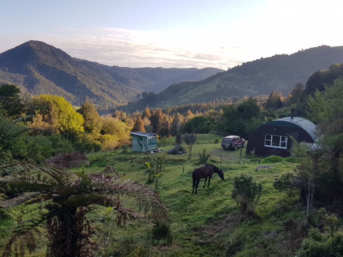 Day 7 to 12 – Into the&nbsp;Forest