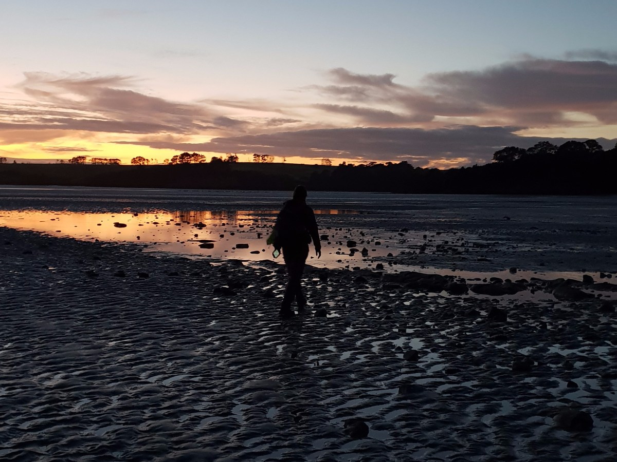 Day 26 to 31 – The road to&nbsp;Auckland