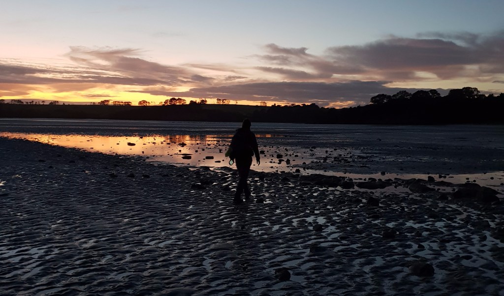 Day 26 to 31 – The road to&nbsp;Auckland