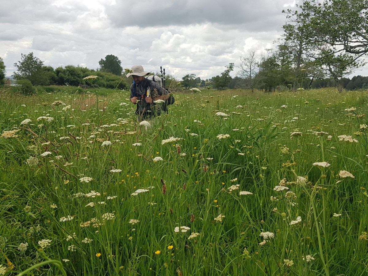 Day 32 to 36 – A stroll along a&nbsp;river