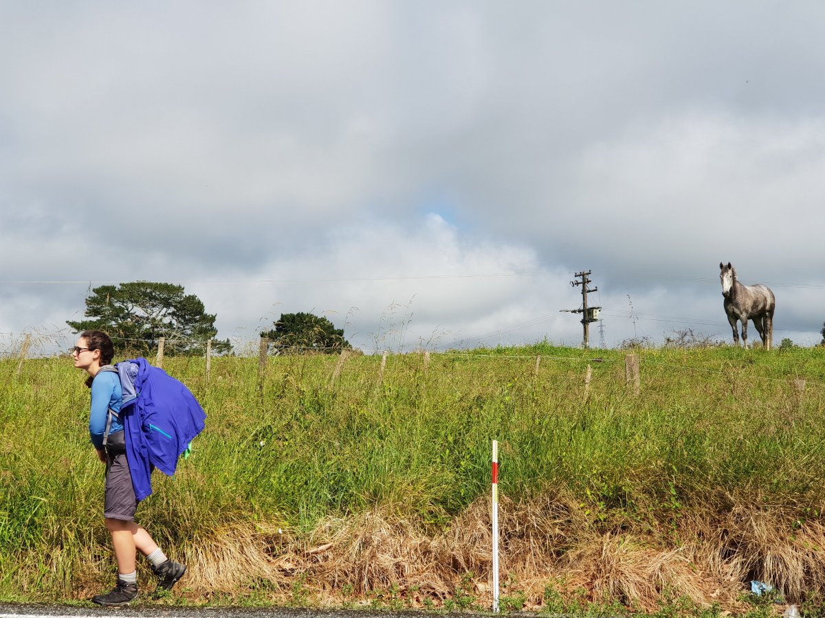 Day 37 to 40 – Highs and lows, mountains and&nbsp;caves