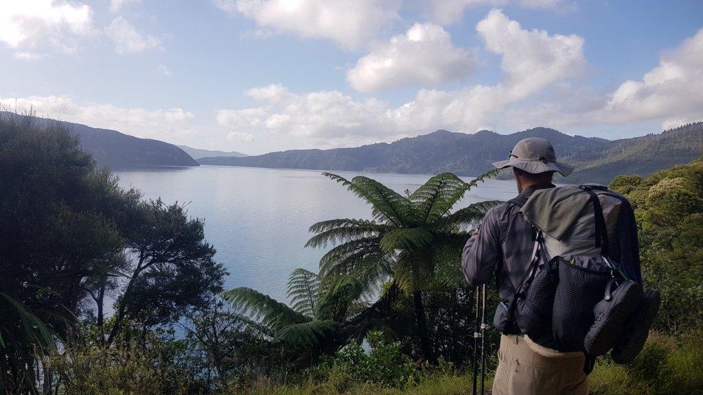 Day 72 to 75 – A Queen and her&nbsp;Weka