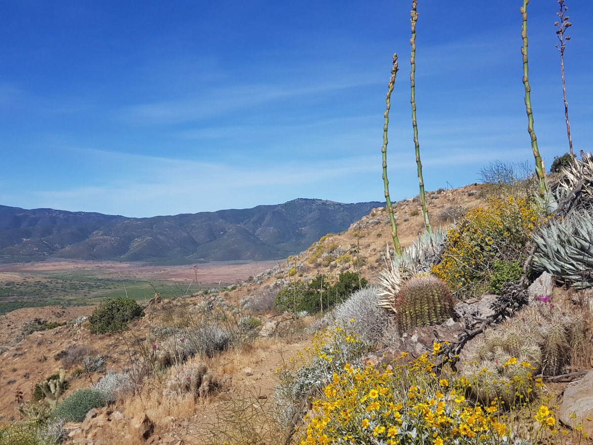 Day 7 & 8 – Cactus gardens and a community&nbsp;centre