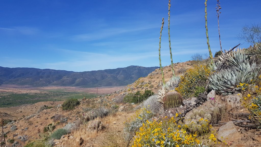 Day 7 & 8 – Cactus gardens and a community&nbsp;centre