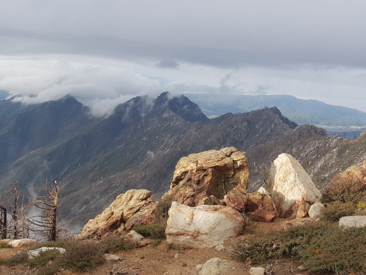 Day 13 & 14 – Idyllwild, the town with a dog for their&nbsp;mayor