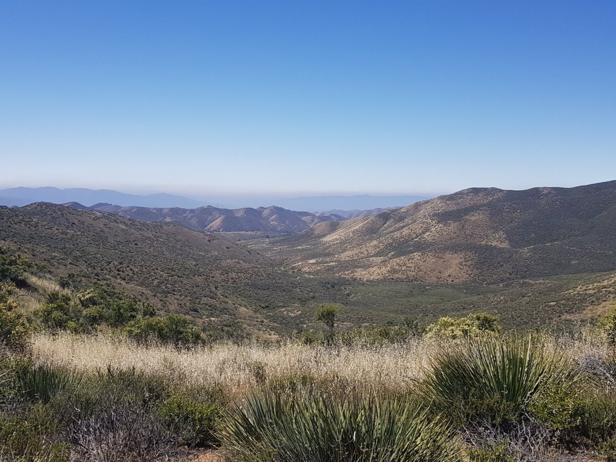 Day 33 & 34 – Hunger, heat and a desert in&nbsp;bloom