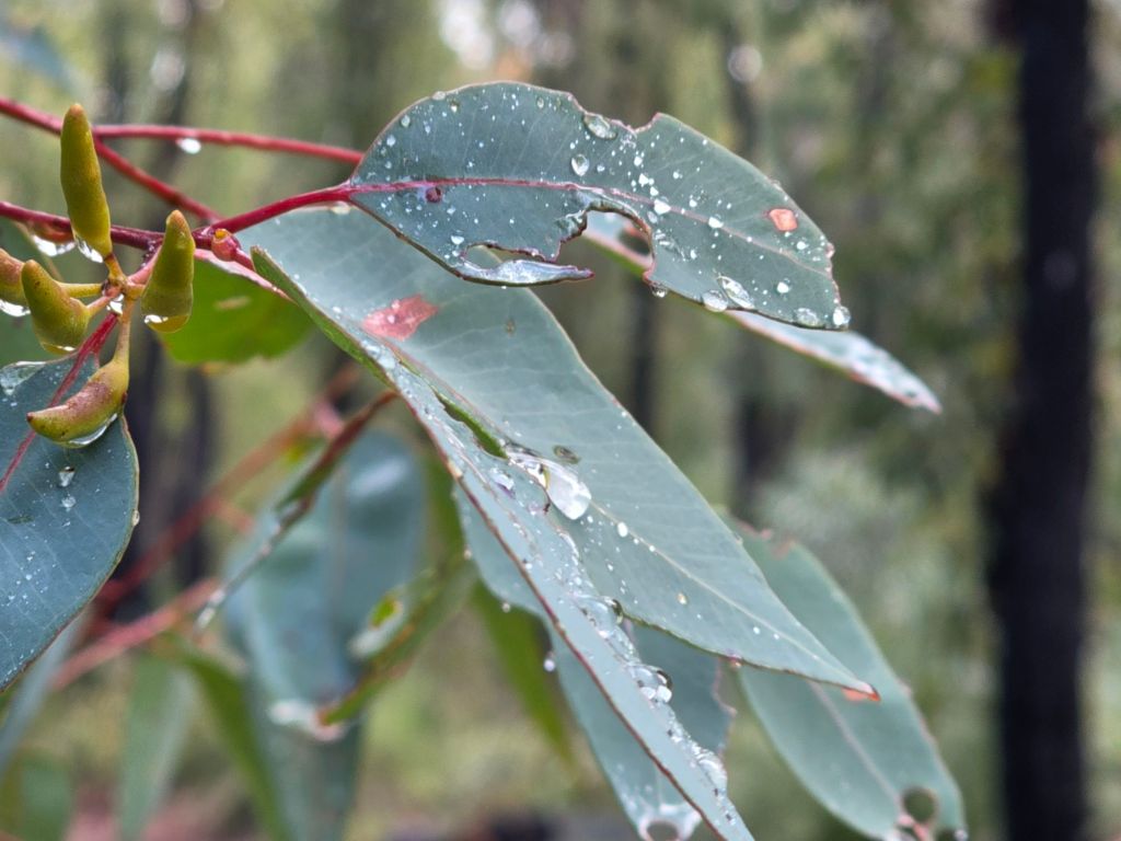 Days 3-6: Getting back into the swing of&nbsp;things