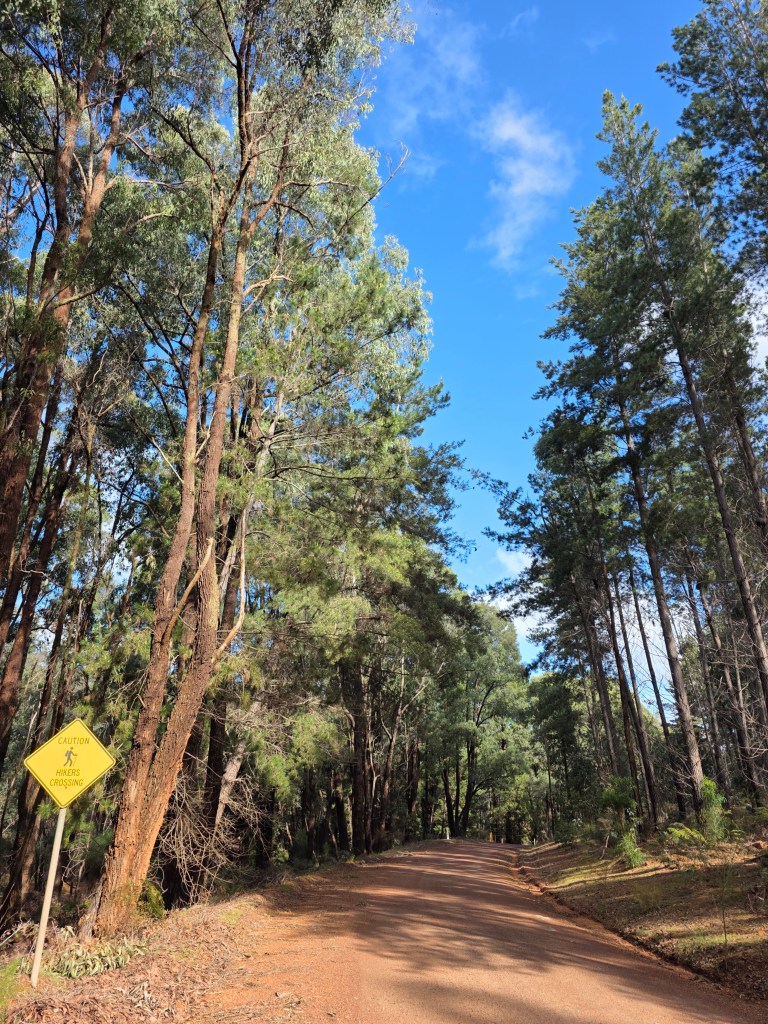 A dirt road winding through tall green trees under a blue sky, with a caution sign indicating 'Hikers Crossing' on the left.