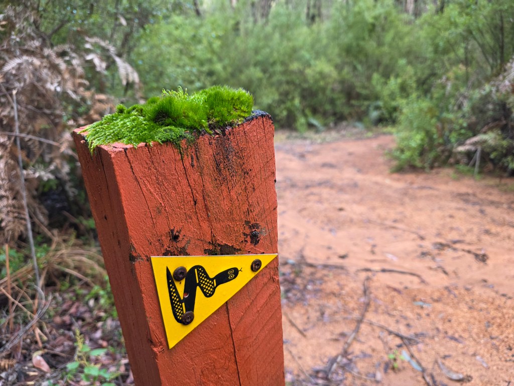 Close-up of a weathered wooden post with moss on top, featuring a yellow warning sign depicting a snake, set against a blurred forest path.