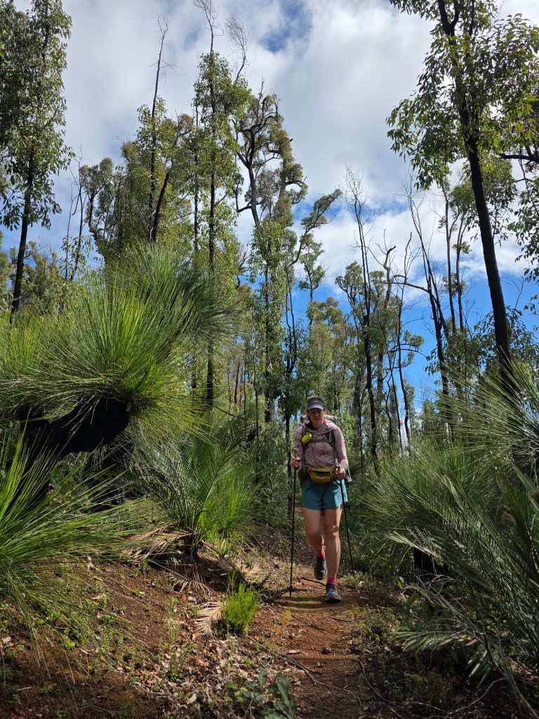 A person hiking on a dirt trail surrounded by lush green vegetation and tall trees under a partly cloudy sky.