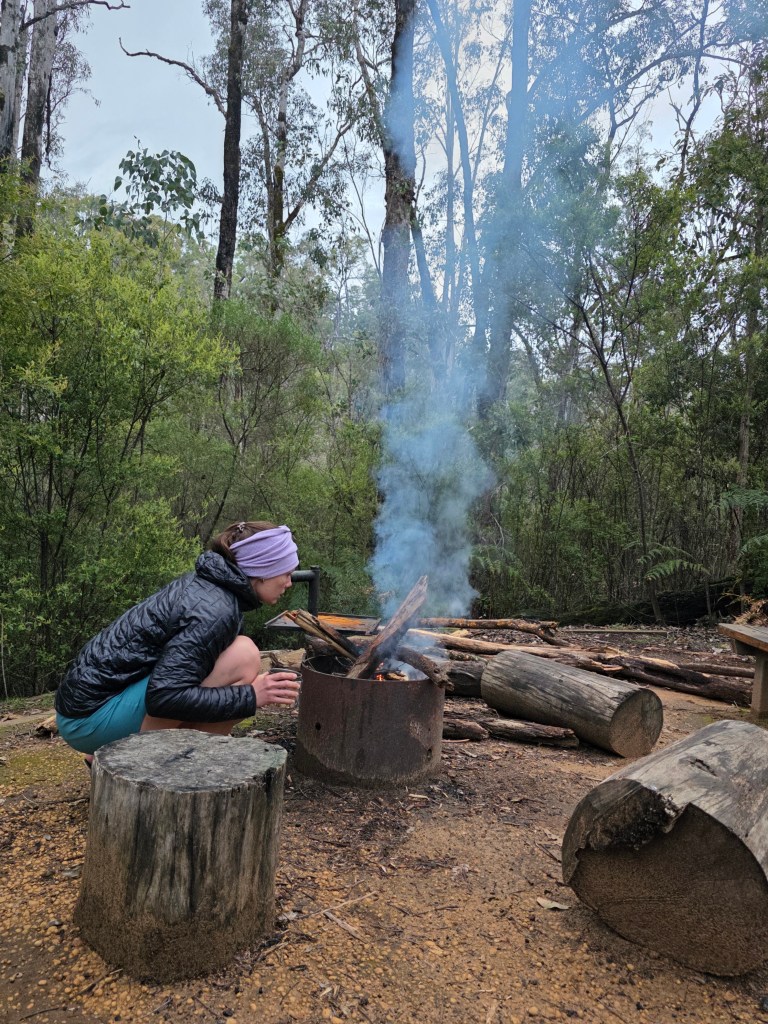 A person crouched by a fire pit, observing smoke rising in a forested area. Surrounding the fire pit are logs and tree stumps, with trees and greenery in the background.