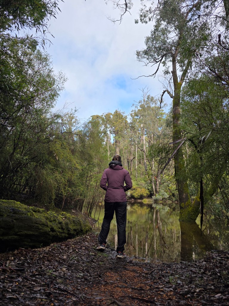 Person standing by a calm, reflective body of water surrounded by lush greenery in a woodland area.