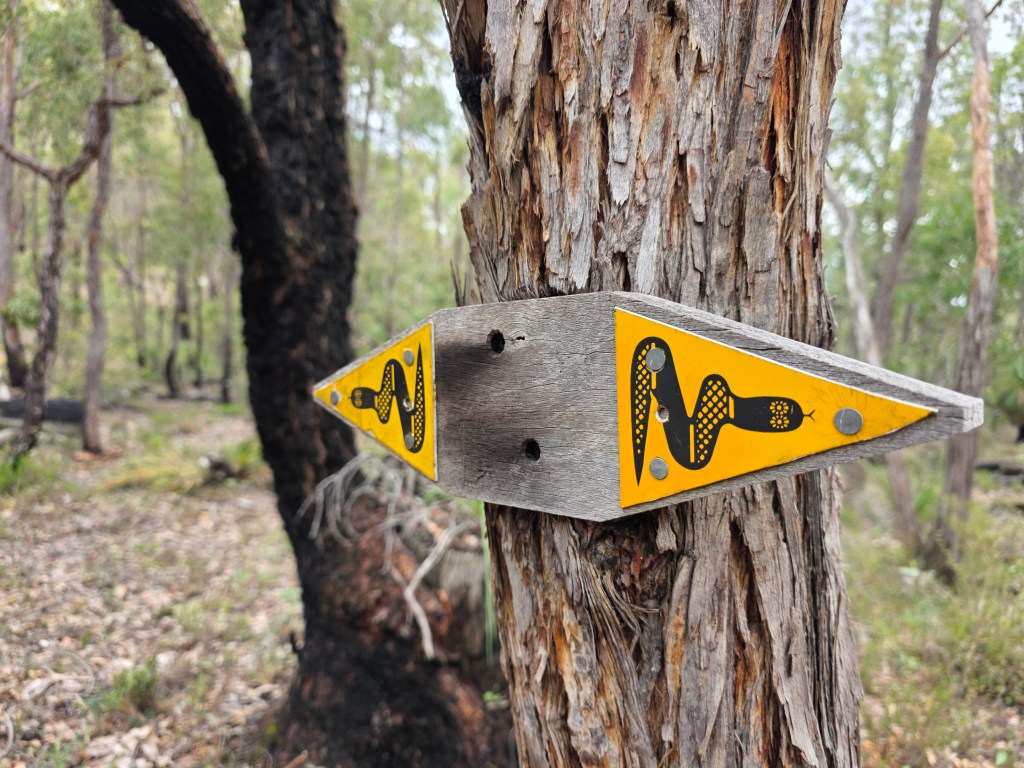 A warning sign depicting a snake, affixed to a tree in a wooded area.
