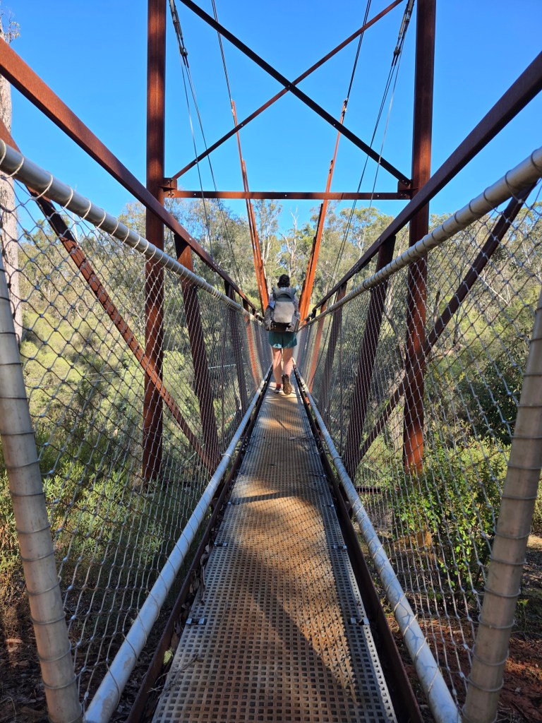 A person walking on a suspension bridge surrounded by trees and clear blue sky.