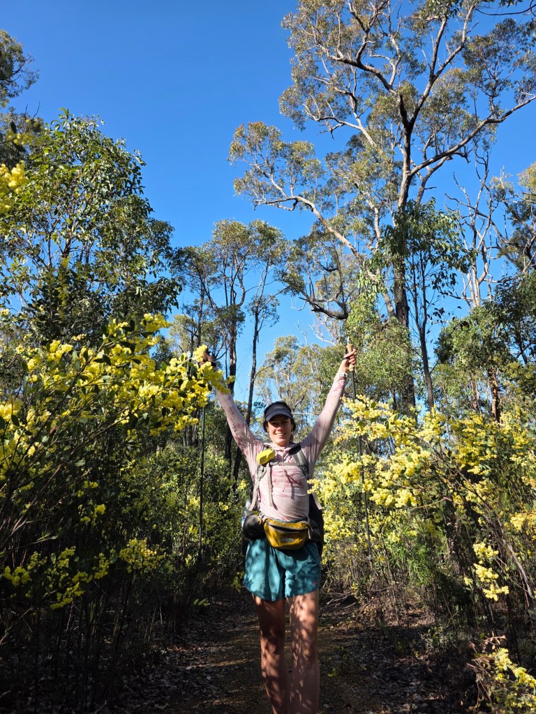 A person stands on a hiking trail surrounded by yellow flowers and tall trees, raising their arms in celebration against a clear blue sky.