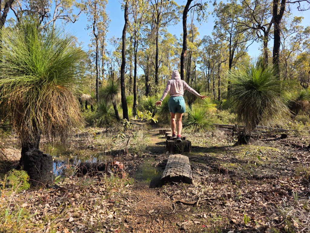 A person balancing on a log in a lush forest with tall green plants and trees in the background.